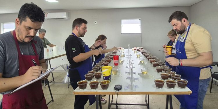 Emater divulga classificados para a segunda etapa do Concurso de Qualidade dos Cafés